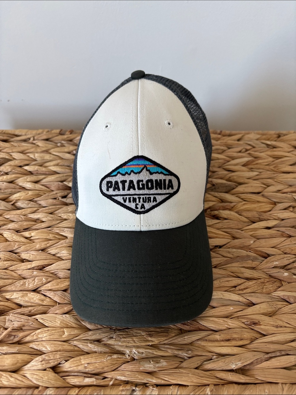 Patagonia Trucker Hat